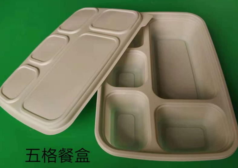 一次性蜜桔视频APP污破解版下载