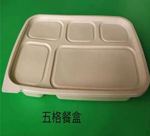 一次性环保蜜桔视频APP污破解版下载